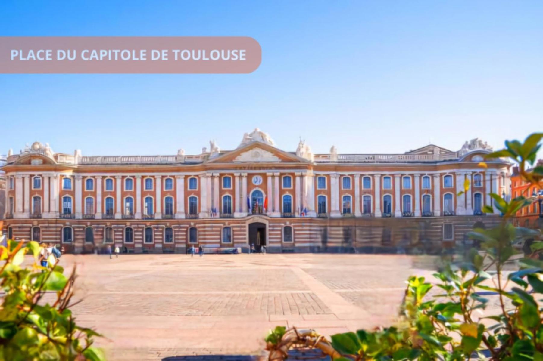 T3 Universites & Hospitals - Havre De Paix Pres Toulouse - Parking - Terrasse Екстериор снимка